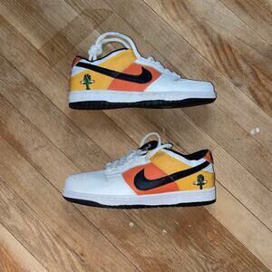 Nike Dunk Pro SB Low Pro White (reps)